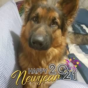 Meet your Posher, Selena